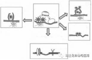 微信图片_20171013143215.jpg